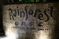 Rainforest Cafe sign at night at Animal Kingdom