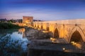 Illuminated Roman Bridge of Cordoba at sunrise - Cordoba, Andalusia, Spain