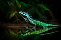 An illuminated shot of a crested basilisk lizard, captured in mid-run as it dashes across the surface of a still, jungle river