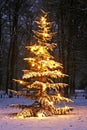 Illuminated snowy christmas tree