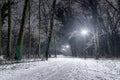 Illuminated snowy pathway in a park on a cold winter night