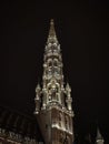 Illuminated spire tower of medieval gothic Brussels City Town Hall grand place grote markt square in night sky Belgium