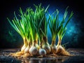 Illuminated Spring Onions and Sprouts A Nighttime Culinary Still Life Capturing the Freshness and Texture of Organic Royalty Free Stock Photo