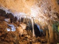 Illuminated Stalactites and stalagmites in Ngilgi cave in Yallingup