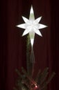 Illuminated Star Christmas Tree Topper Royalty Free Stock Photo