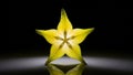 Illuminated star fruit slice showing detailed structure against dark backdrop Royalty Free Stock Photo
