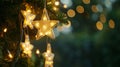 Illuminated Star-Shaped Christmas Lights on a Branch Royalty Free Stock Photo