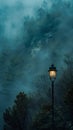 Illuminated street lamp against foggy forest backdrop at dusk Royalty Free Stock Photo