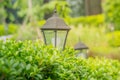 Illuminated streetlight in green bush