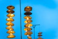 Illuminated stripe Vietnamese traditional conical hats hanging on wire for decoration, with blue sky at twilight Royalty Free Stock Photo