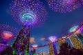 Illuminated Supertrees in Gardens by the Bay at night, Singapore