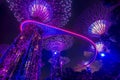 Illuminated Supertrees in Gardens by the Bay at night, Singapore