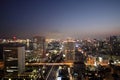 Illuminated Tokyo skyline during sunset Royalty Free Stock Photo