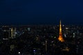 Illuminated Tokyo Tower and skyline at night from Roppongi Hills
