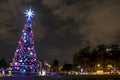 Illuminated traditional Christmas tree in Ibirapuera, at night, it is of the attraction in the south zone of the city of Sao Paulo