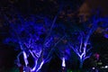 Illuminated tree and building blocks at the NightGarden in Coral gables Florida