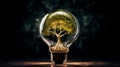 An Illuminated Tree Encased in a Light Bulb Royalty Free Stock Photo