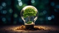 Illuminated Tree Encased in a Light Bulb Royalty Free Stock Photo