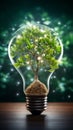 Illuminated Tree Encased in a Light Bulb Royalty Free Stock Photo