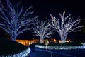 Illuminated trees in Nabana no Sata in Nagoya in Japan