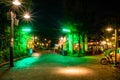 Illuminated vintage street in Africa Land at Animal Kingdom 114.