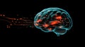Illuminating brain connections, visual representation of neural networks and cognitive pathways