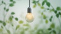 An illuminating energy efficient light bulbs hanging in a garden in blur background Royalty Free Stock Photo