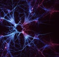 Illuminating the Microcosm's Connection to the Multiverse