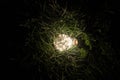illuminating a spherical ground garden lamp of white color lies on a green lawn in the grass in the backyard of the park, closeup Royalty Free Stock Photo