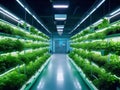 Illuminating Sustainable Agriculture with LED Grow Lights. Royalty Free Stock Photo