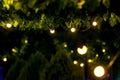 Illumination backyard light garden with electric garland bulb.