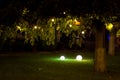 Illumination backyard light garden with electric ground lantern.