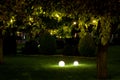 Illumination backyard light garden with 2 ground lanterns.