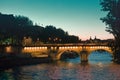 Paris bridges over Seine are nicely illuminated at night Royalty Free Stock Photo