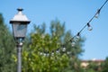 Illumination landscape light park with electric garland of light bulbs