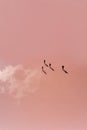 The illusion of people traveling through a pink sky. Aerial view of a group of tourists walking on a salt lake.