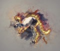 Illustartion of a Burning Kangaroo