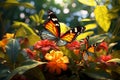 Illustrate the beauty of butterflies in pet