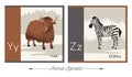 Illustrated animal alphabet for kids. Letter Y for yak and letter Z for zebra. Royalty Free Stock Photo