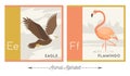 Illustrated alphabet cards with animals for kids. Letter E for eagle and letter F for flamingo. Royalty Free Stock Photo