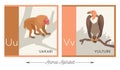Illustrated alphabet cards with animals for kids. Letter U for uakari and letter V for vulture.