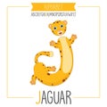 Illustrated Alphabet Letter J and Jaguar