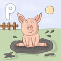 Illustrated alphabet letter P and Pig. ABC book image vector cartoon. A funny pig sits in a puddle on a farm. Children