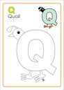 Alphabet Picture Letter `Q` Colouring Page. Quail Craft.