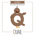 Illustrated Alphabet Letter Q and Quail