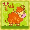 Illustrated alphabet letter Y and yak. Royalty Free Stock Photo