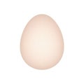 Illustrated animal egg, realistic style illustration - Vector