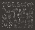 Illustrated animal set doodle style