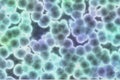 Illustrated background with simulation of human cells seen under a microscope Royalty Free Stock Photo