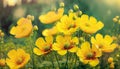 illustrated blooming yellow flower suitable as a banner